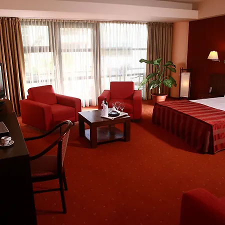 Reghina Blue 4* Timişoara