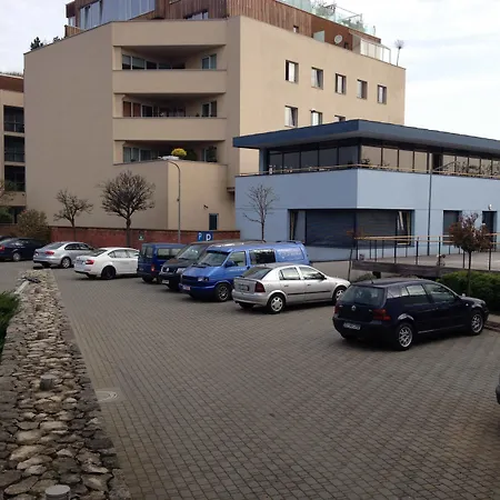 Reghina Blue Temesvár