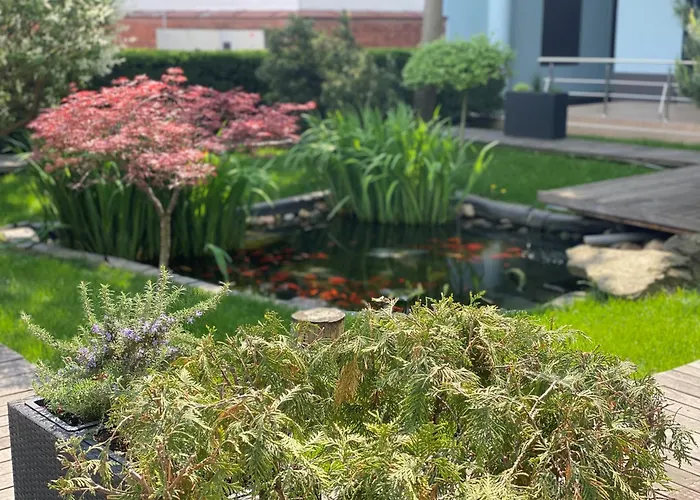 Reghina Blue 4* Timişoara