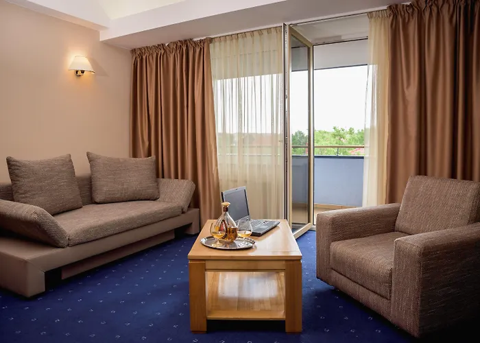 Reghina Blue Hotel Timisoara