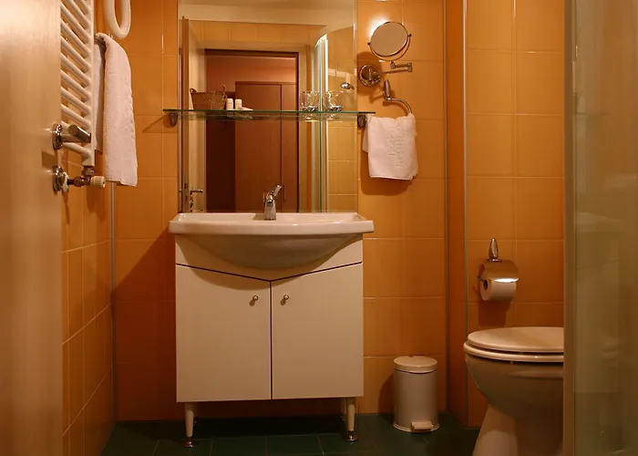 Reghina Blue Hotel Timişoara