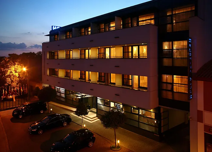 Reghina Blue Hotel Timisoara