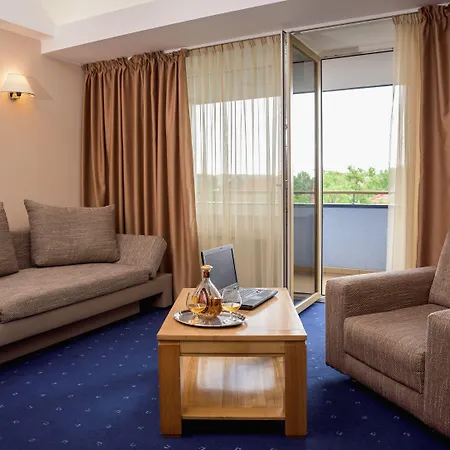 Reghina Blue ホテル ティミショアラ